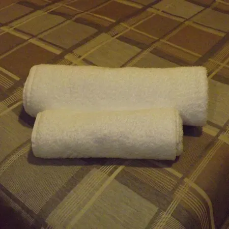 Zum Weissen Ochsen Hotel