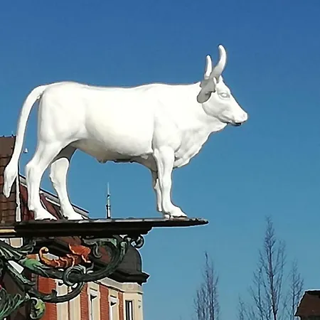 Zum Weissen Ochsen Aalen